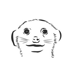 Meerkat Icon Animal Sign Animal Sketch