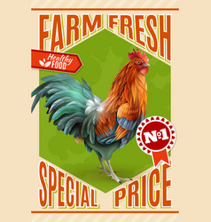 Rooster Farm Sale Offer Vintage Poster