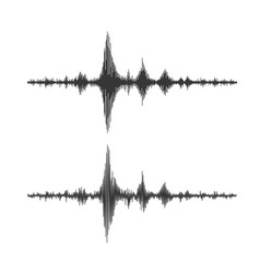 Earthquake Seismograph Wave Seismic Graph Diagram