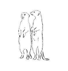 Meerkat Icon Animal Sign Animal Sketch