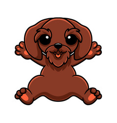 Cute Pudelpointer Dog Cartoon Sitting