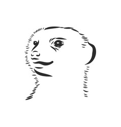 Meerkat Icon Animal Sign Animal Sketch