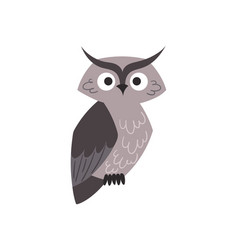 Little Grey Owl