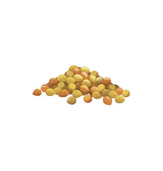 Heap Chickpeas Isolated Pile Soy Beans