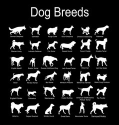 Large Dog Breed Set Collection Silhouette