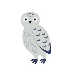 White Grey Owl