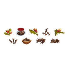 Clove Aromatic Flower And Dried Spice Set