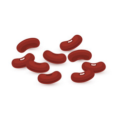 Kidney Beans Legume Red Brown Seed Bean