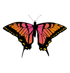 Big Butterfly Icon