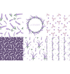 Lavender Colorful Flower Seamless Pattern