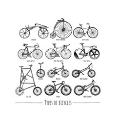 Types Of Bikes