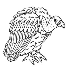 Vulture Bird Isolated Coloring Page For Kids