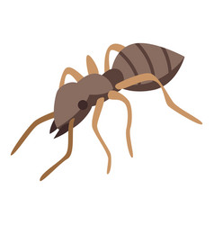 Soldier Ant Icon Isometric Style