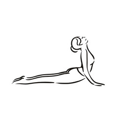 Yoga Cobra Bhujangasana Pose