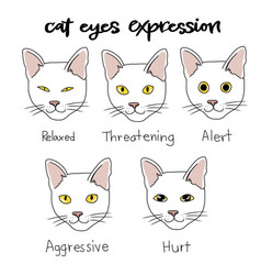 Cat Eyes Expression Chart Cartoon