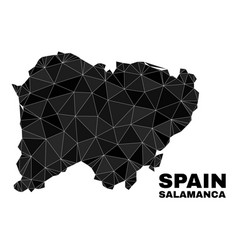 Polygonal Salamanca Province Map