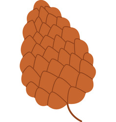 Fir Pine Brown Cone