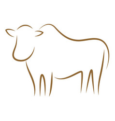 Cow Design