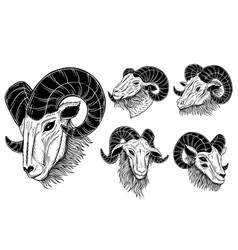 Set Bundle Satanic Goat Head Horns Sheep Skull