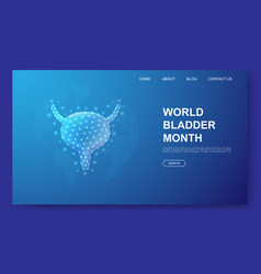 Bladder 3d Low Poly Website Template Reproductive