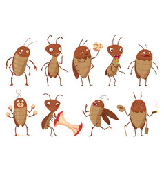 Dirt Cockroach Funny Brown Beetles Collection