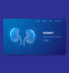 Kidneys 3d Low Poly Website Template Urinary