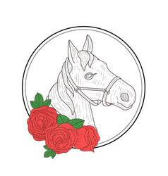 Hand Drawn Horse Head Profile And Red Rose Flowers