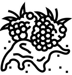 Splash Raspberry Fruit Berry Line Icon