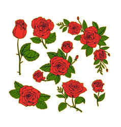 Rose Flower Element Design