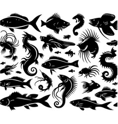 Fish Silhouette Black