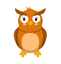 Cute Owl Design Character