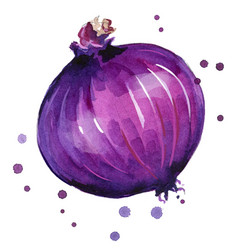 Red Onion Watercolor Painting Hand Painted