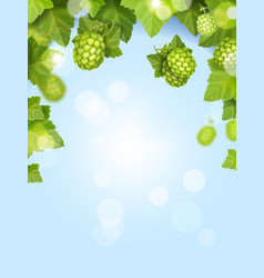 Beer Hops On Blue Sky Background Realistic