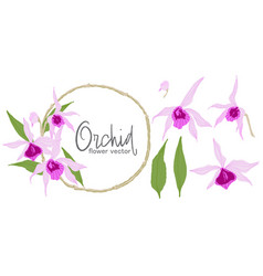 Orchid Flower Set