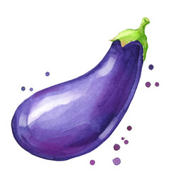 Fresh Eggplant Watercolor Painting Hand Painted