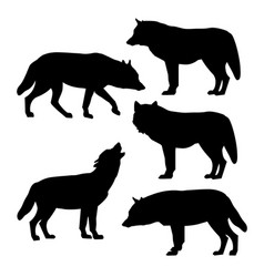 Silhouettes Of Gray Wolves