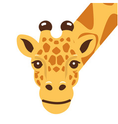 Cute Giraffe Animal Head