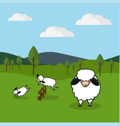 Sheep Jumping Over A Fence In A Grassy Field