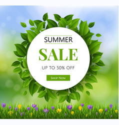 Summer Sale Banner With Leaves Background