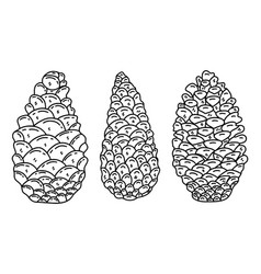 Set Of Three Pine Cones On White Background