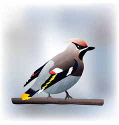 Waxwing Bird