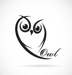 Owl design on white background bird animals Vector Image