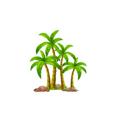 Palm Tree