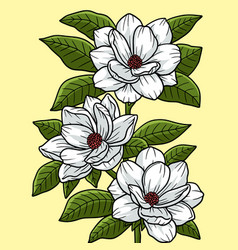 Magnolia Flower Colored Cartoon