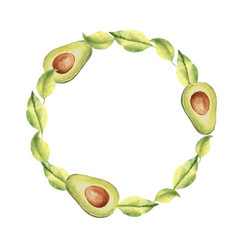 Avocado Wreath Half Fruit And Leaves Botanical