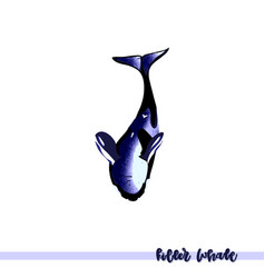 Killer Whale