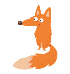 Cartoon Fox