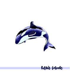 Killer Whale