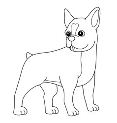 Boston Terrier Dog Coloring Page Isolated For Kids