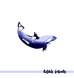 Killer Whale